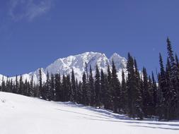 Whistler Mountain British Columbia