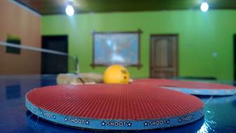 Ping-Pong Sports Tennis equipment
