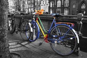 colorful bike on the streets of amsterdam in monochrome