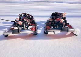 Snowshoe Sport at Winter