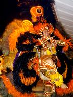 Samba Dance Girl in a colorful costume in brazil