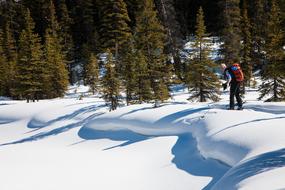 Outdoors Nature Ski