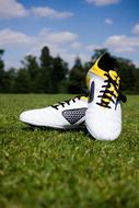 Football Boots Shoes