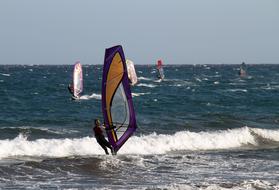 Windsurfing sport vacation