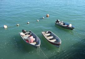 Sea Fishing wooden Boat