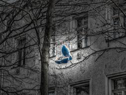 Sneaker Depend Sports Shoes on tree