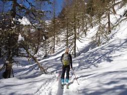 Skiing Girl In Snowy Mountain Forest