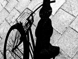 Shadow of the bicycle and pole, on the pavement in sunlight