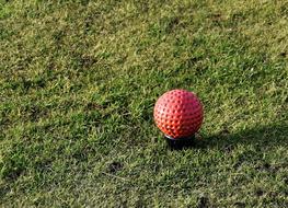 Close-up of the shiny, red golf ball on the tee marker, on the green grass in sunlight