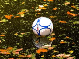 soccer ball in water in autumn