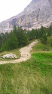 a man walks on a trail near the forest