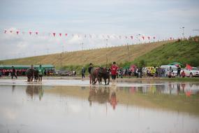 animal festival in thailand