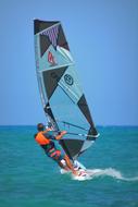 Windsurfer Sea Sports activity