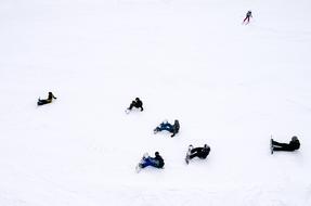 skiers and snowboarders in the snow