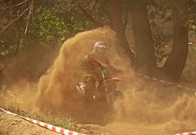 Motocross rider in helmet, in dust, among the green plants