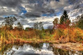 Reflections of Sky on calm pond in autumnal Landscape