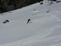 Ski and Snowboard at Winter