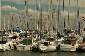 sailing ships in the port of Breskens, Netherlands