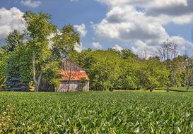 scenery of Rustic Barns