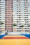 Landscape with the colorful basketball court near the palm trees and hotel