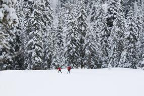 Snowy Winter Mountain