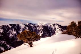 Winter Snowy mountains peaks landscape