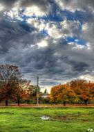 autumn trees in Nicomekl Park, Langley