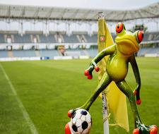ceramic Frog Football Goal