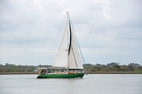 Sailboat Sail Recreation sport