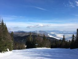 Snow Ski Sport track