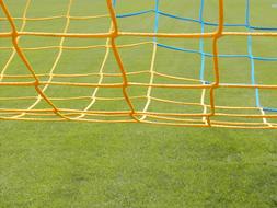 Network Game Sport