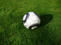 Football White ball on Grass