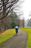 cyclist on a path in a park in winter