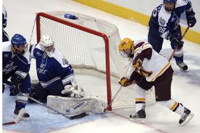 Ice Hockey Goalie Goal