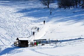 People on the beautiful, snowy mountain with trees, in sunlight, in Schmitten, Germany