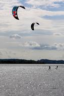 People doing kitesurfing on the shiny water, with plants on the shore at background