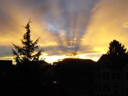 Sunrise over dark trees and roofs