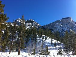 ski area in utah