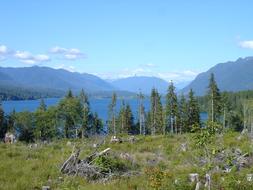 Lake Quinault Olympic National park
