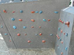 Climbing Wall Holds sport