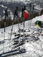 Ski Poles Sticks Touring