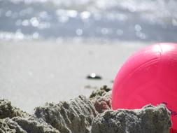 pink ball on a rock near the sea