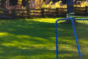 blue Soccer Goal on lawn at autumn