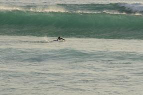 Sport surf sea