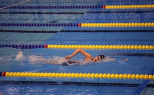 Sport Swimming