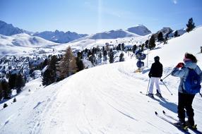 Snowy Winter Alpine skiing