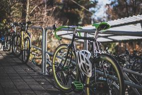 Colorful bikes standing at the railing, among the colorful plants