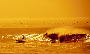 surfer rides the waves in the ocean during sunset