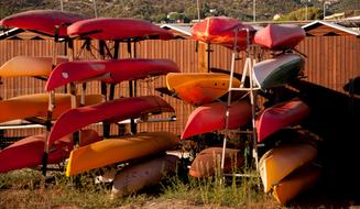 Colorful canoes above the colorful grass, in sunlight, in Sestri Levante, Italy