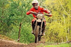 motocross racer in the forest